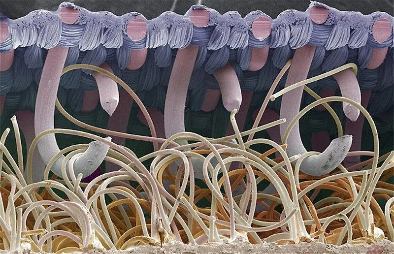 Velcro fibers intertwined