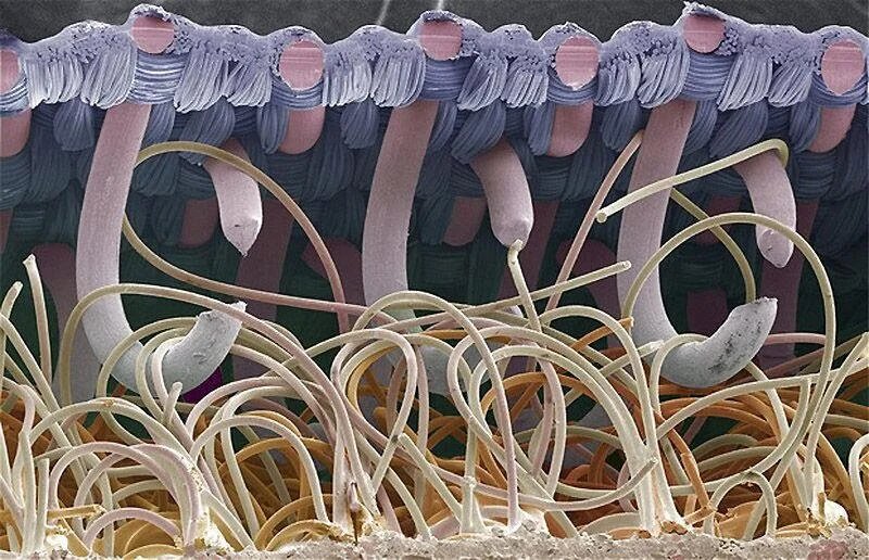 Velcro fibers intertwined