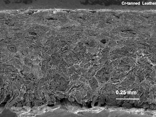 Leather fibers intertwined
